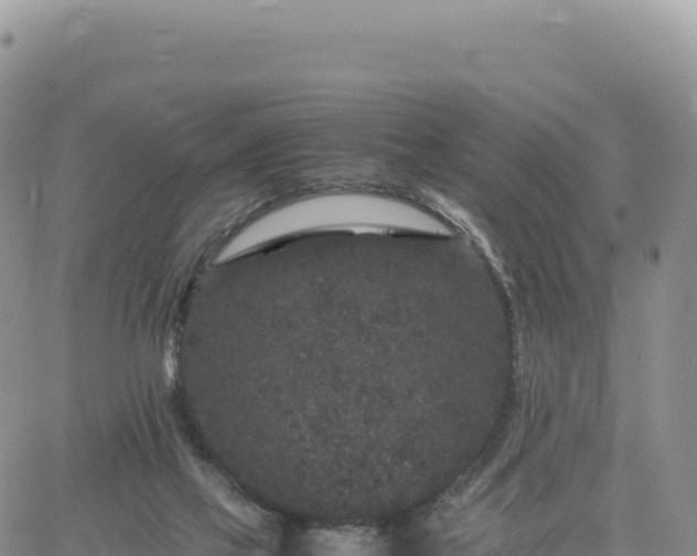 X0000061760069200512091712