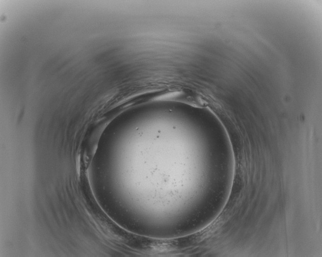 X0000061760070200512091712