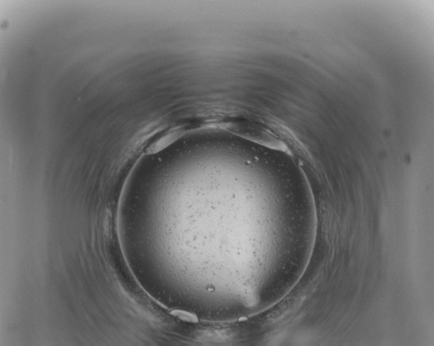 X0000061760071200512091712