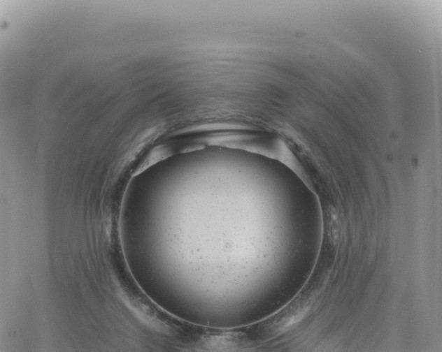 X0000061760072200512091712