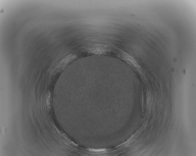 X0000061760073200512091712