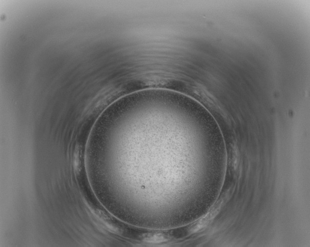 X0000061760074200512091712