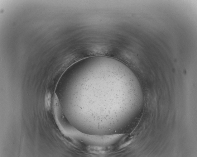 X0000061760075200512091712