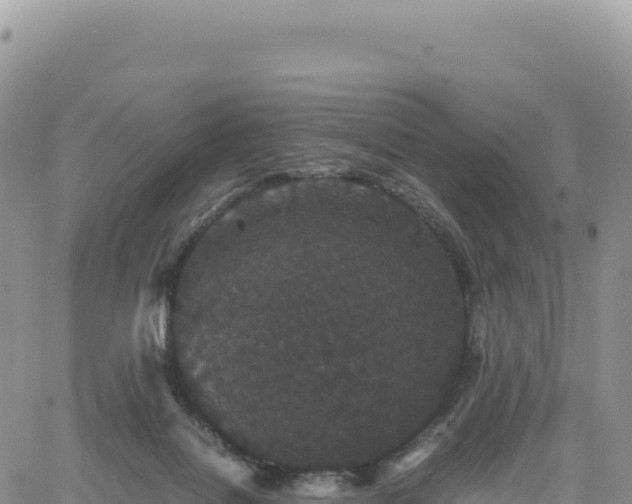 X0000061760076200512091712