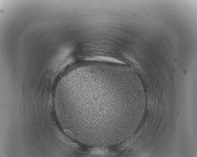 X0000061760077200512091712