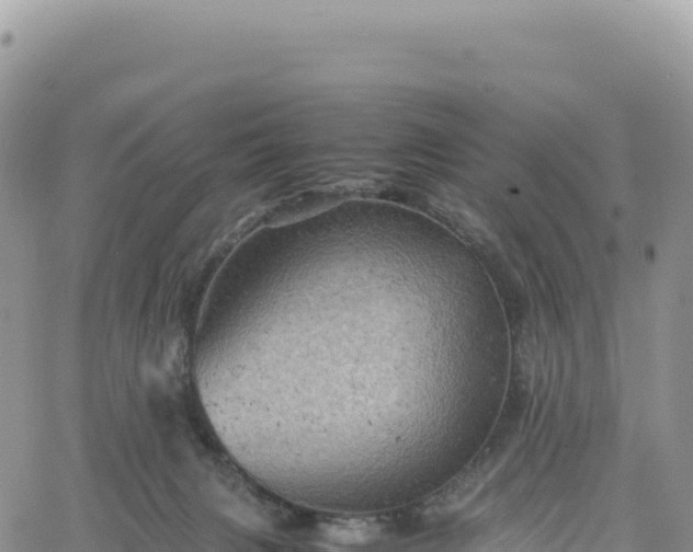 X0000061760079200512091712