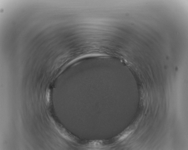 X0000061760080200512091712