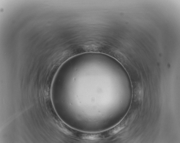 X0000061760081200512091712