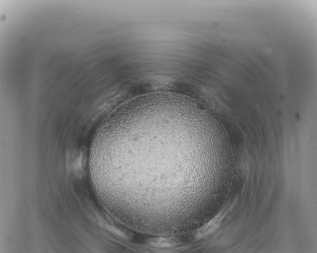 X0000061760082200512091712