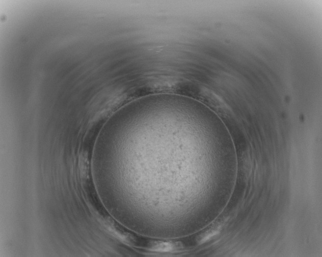 X0000061760083200512091712