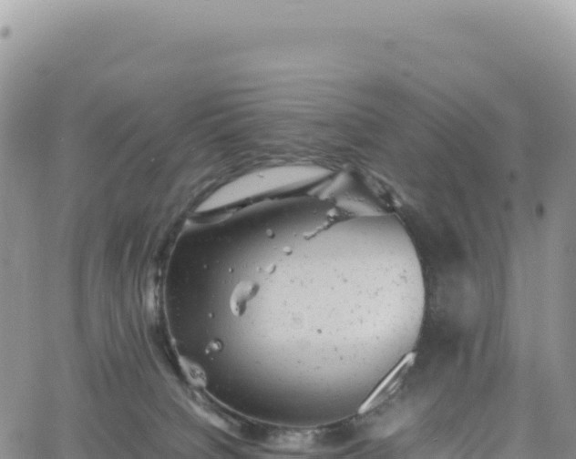 X0000061760084200512091712