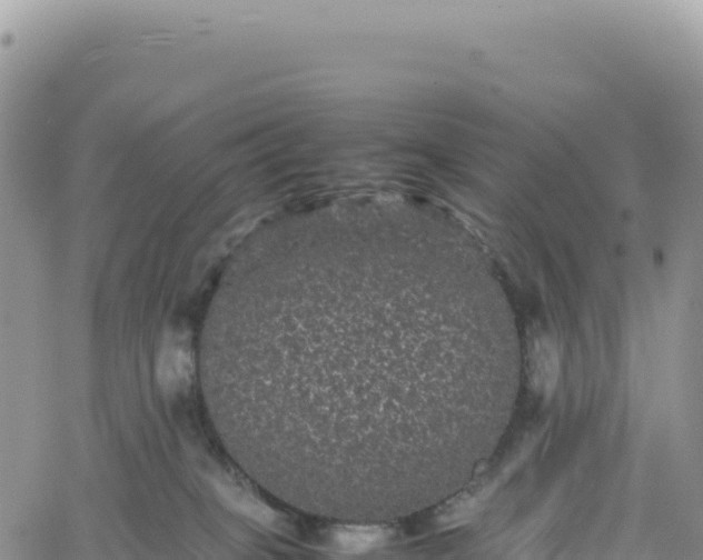 X0000061760085200512091712