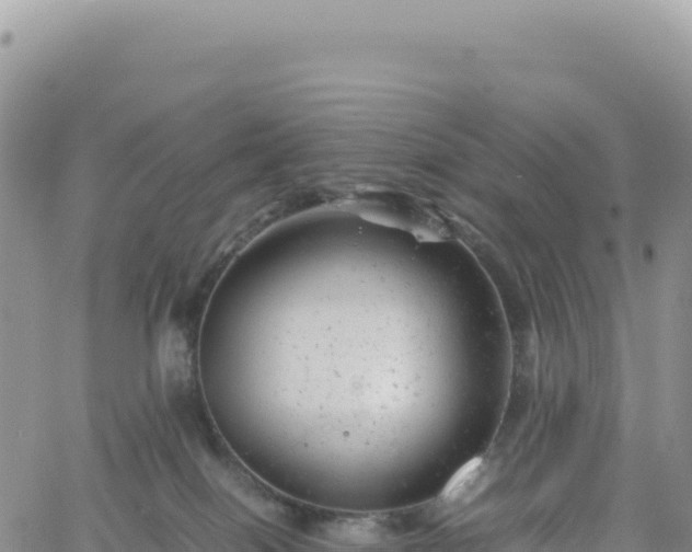 X0000061760086200512091712