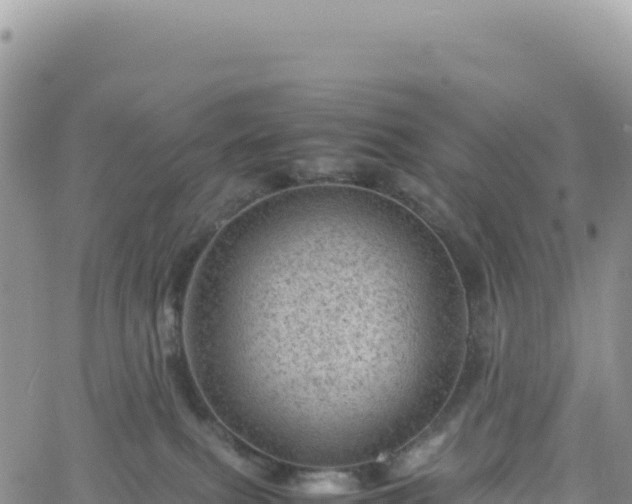 X0000061760087200512091712