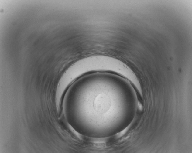 X0000061760088200512091712