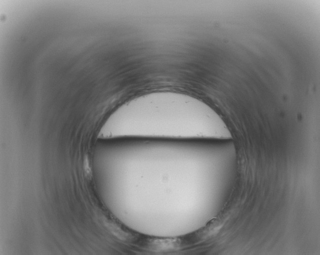 X0000061760089200512091712