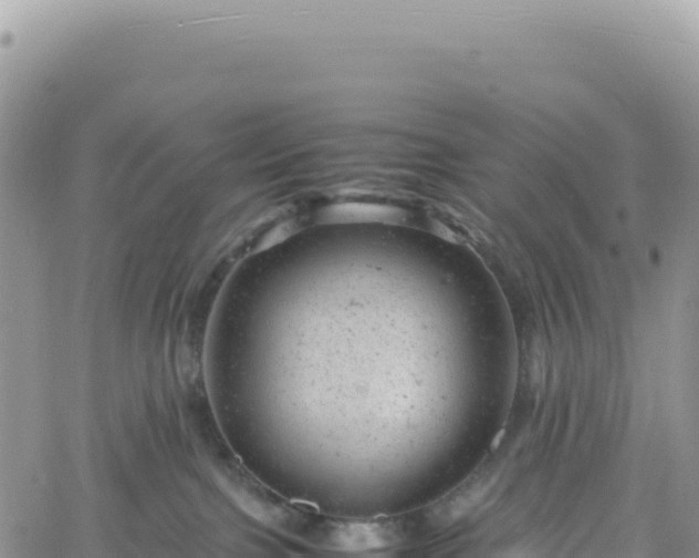 X0000061760091200512091712