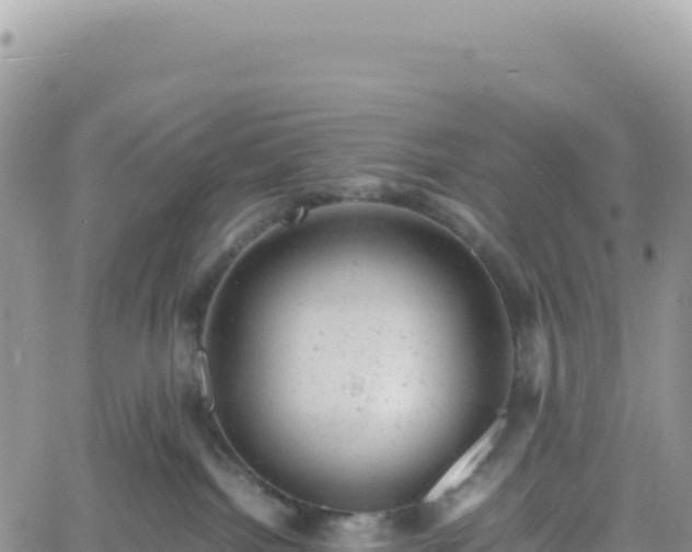 X0000061760092200512091712