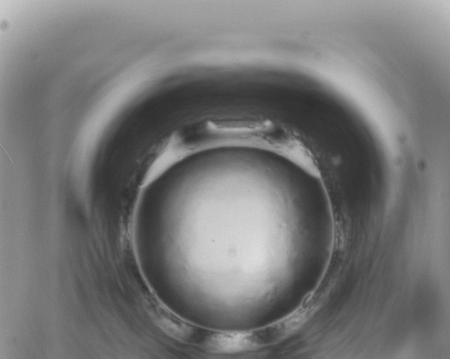 X0000061760093200512091712