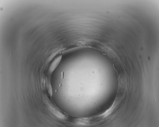 X0000061760094200512091712