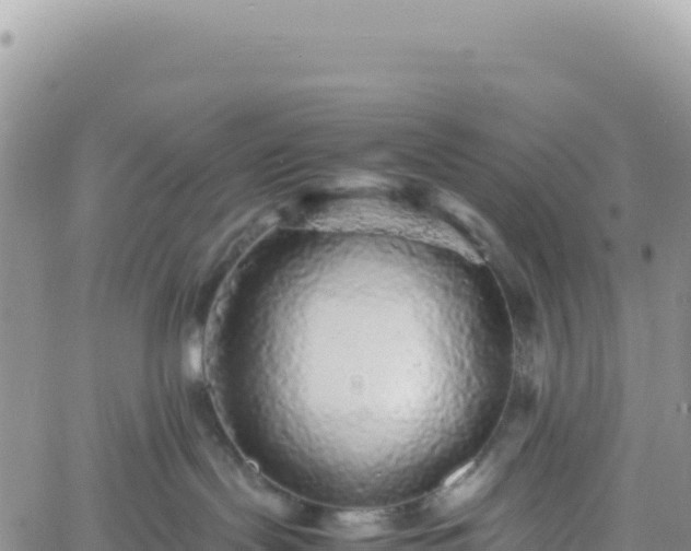 X0000061760095200512091712