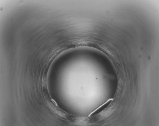 X0000061760096200512091712