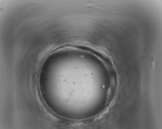 X0000061760097200512091711