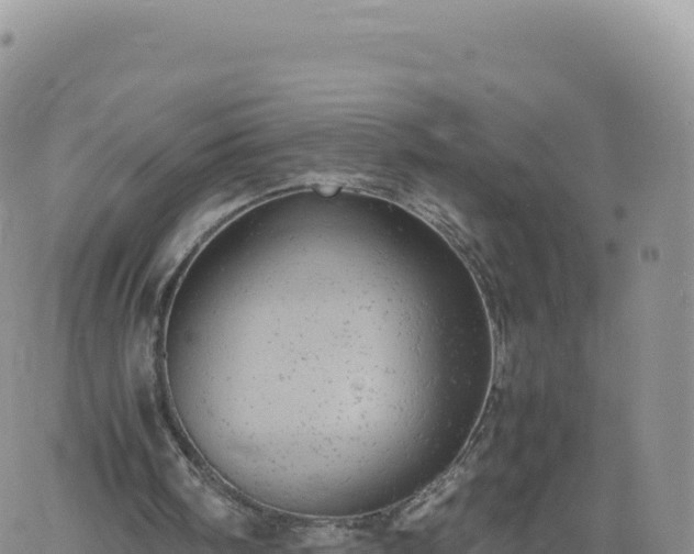 X0000061760098200512091711