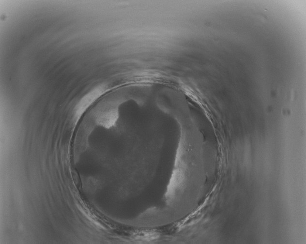 X0000061760099200512091711