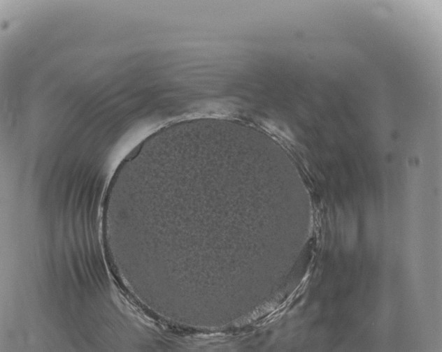 X0000061760100200512091711