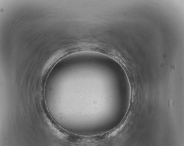 X0000061760101200512091711