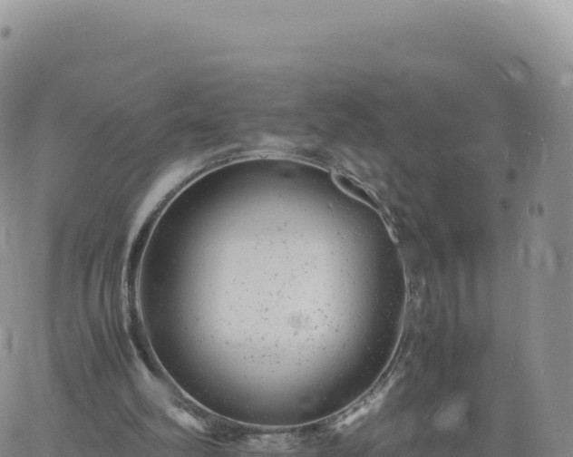 X0000061760102200512091711