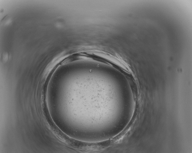 X0000061760103200512091711