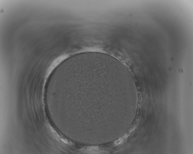 X0000061760104200512091711