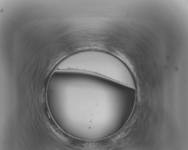 X0000061760105200512091711