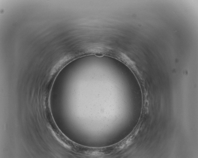 X0000061760106200512091711