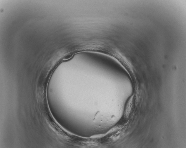 X0000061760107200512091711