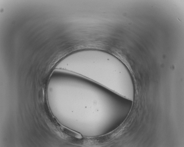 X0000061760109200512091711