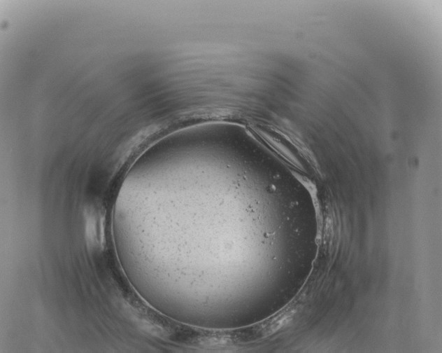 X0000061760110200512091711