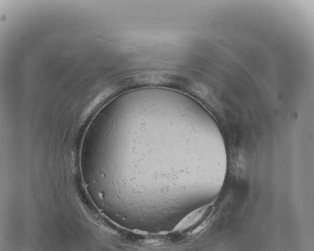 X0000061760111200512091711