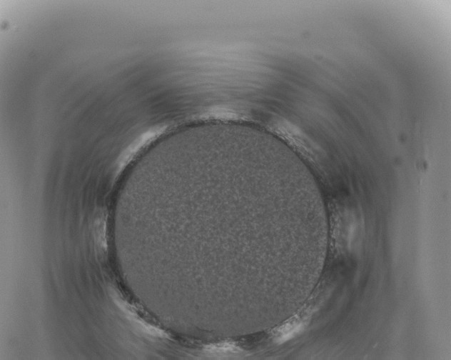 X0000061760112200512091711