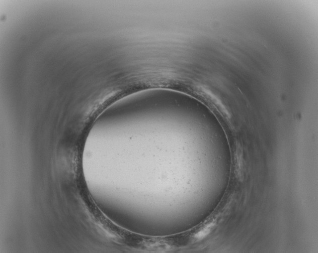 X0000061760113200512091711