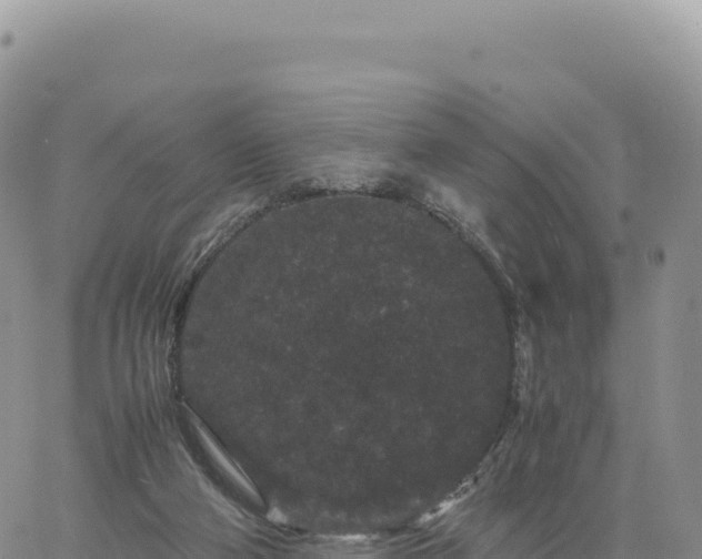 X0000061760114200512091711