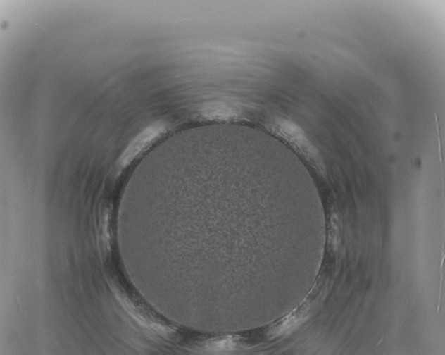 X0000061760116200512091711