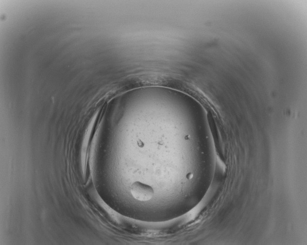 X0000061760117200512091711