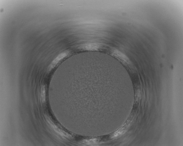 X0000061760120200512091711