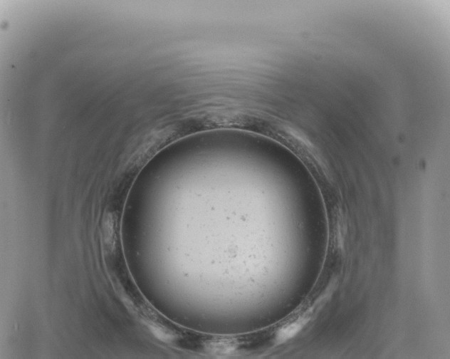 X0000061760121200512091711