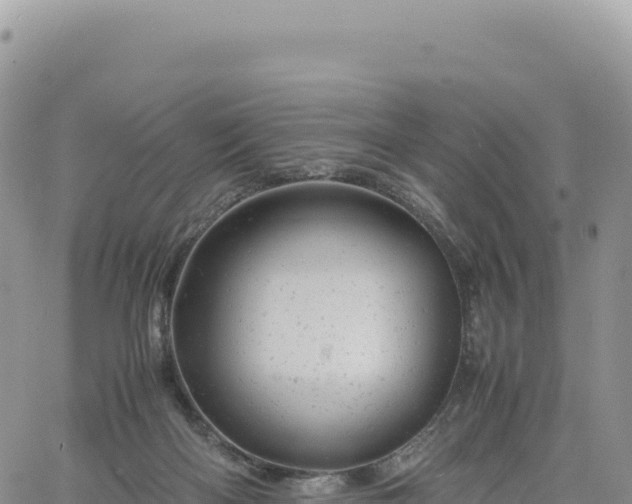 X0000061760122200512091711