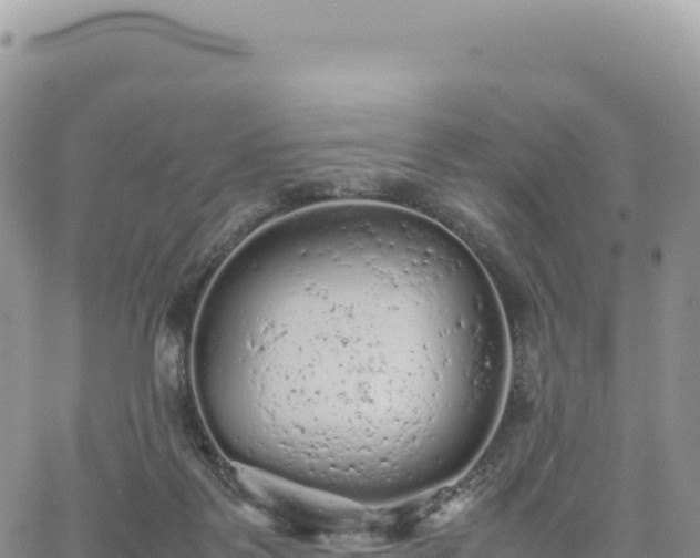 X0000061760123200512091711