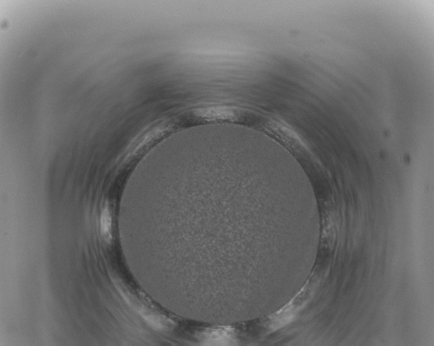 X0000061760124200512091711